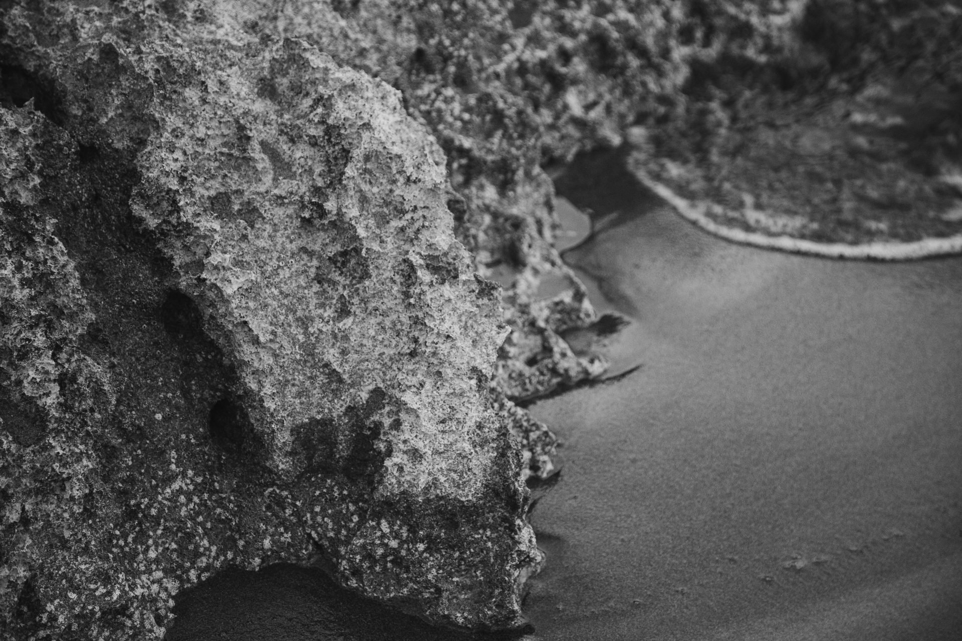 https://events.horasis.org/wp-content/uploads/2026/07/pexels-roman-odintsov-6493425.jpeg